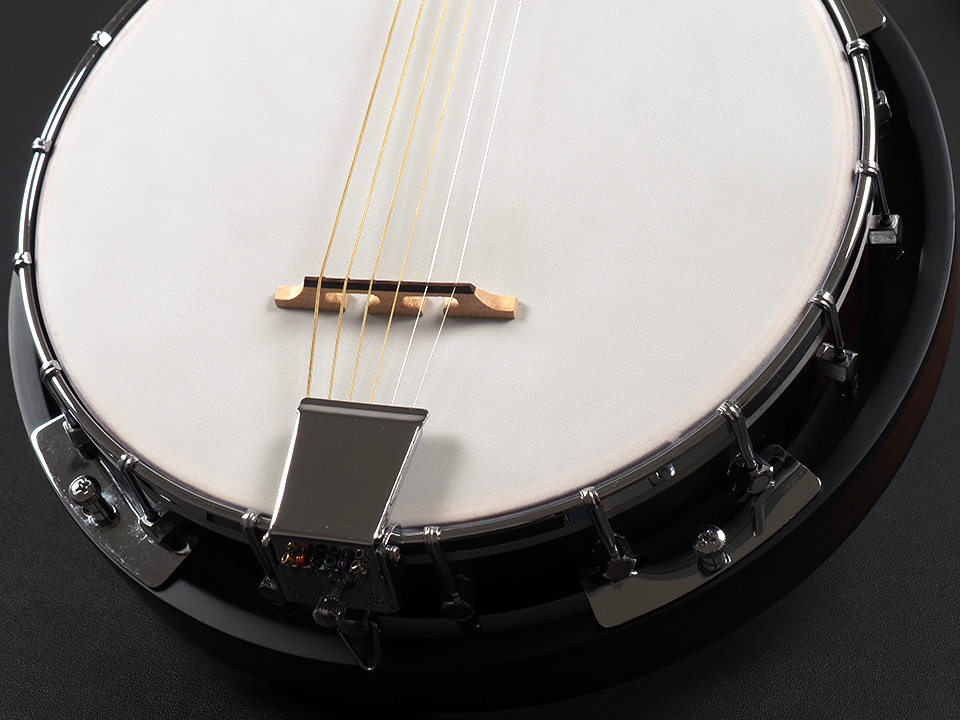 Blanton BG-10 Guitar Banjo（中古）【楽器検索デジマート】