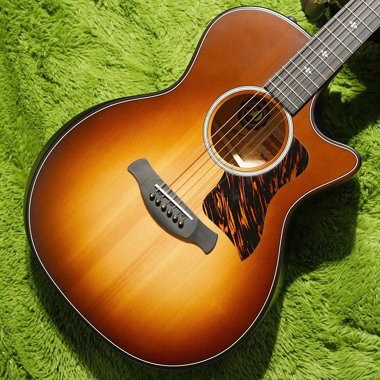 Taylor 【試奏動画あり】50th Anniversary Builder's Edition 314ce LTD  #1203114039【汎用性の高い音色】（新品）【楽器検索デジマート】