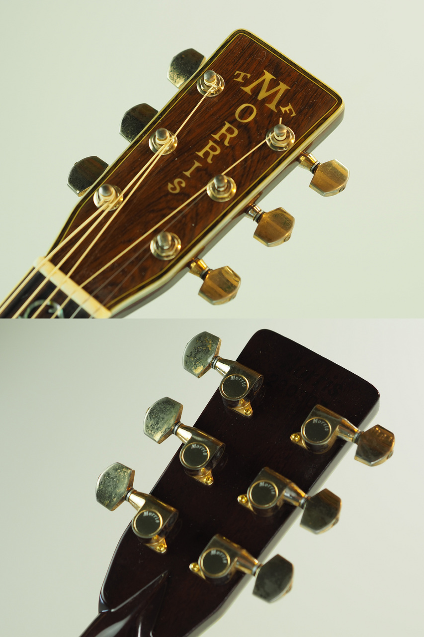 Morris TF-820(管理番号4962)（中古/送料無料）【楽器検索デジマート】