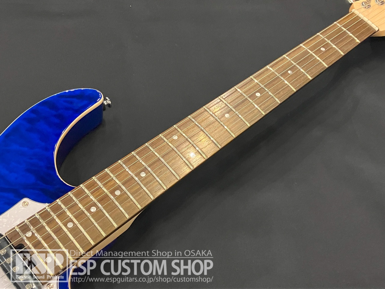 GrassRoots G-SNAPPER-CTM See Thru Blue(新品/送料無料 GrassRoots G-SNAPPER-CTM See Thru Blue(新品/送料無料
