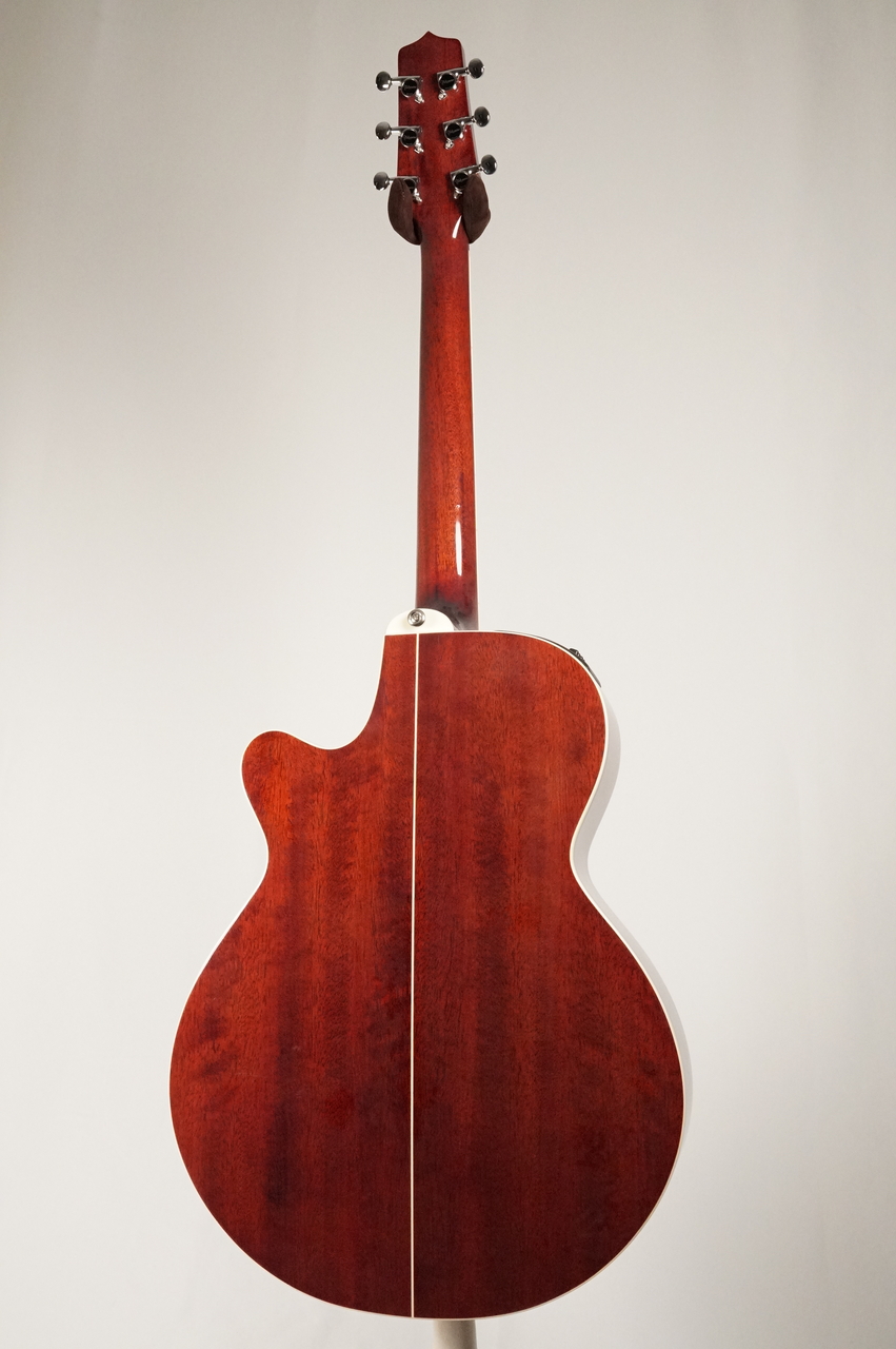 Takamine DSP-110 MOD【USED】（中古）【楽器検索デジマート】