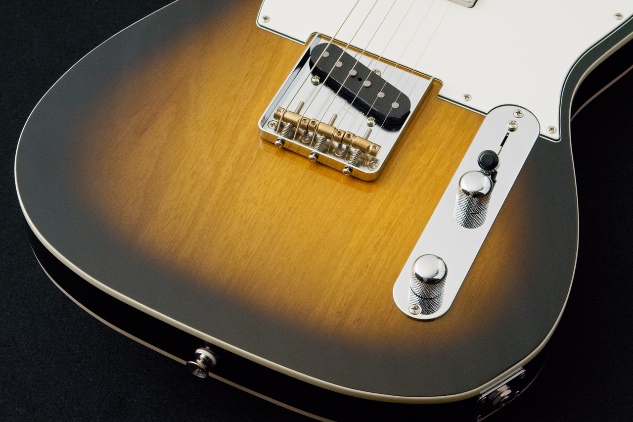 FUJIGEN(FGN) NTE210RAH -2Tone Sunburst-【3.54kg】（新品/送料無料