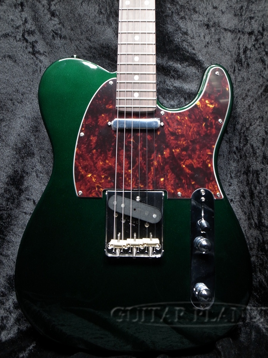 FUJIGEN(FGN) NTE100RAL CAG【スポットカラー】（新品）【楽器検索