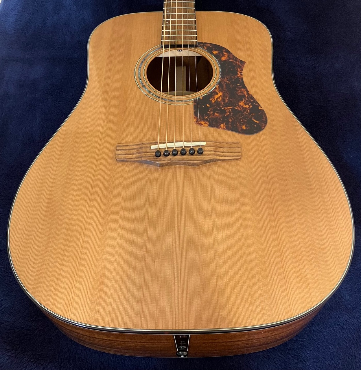 ＭＯＲＲＩＳ...アコースティックギター！ モーリス アコースティックギター FE-91 | Costco Japan