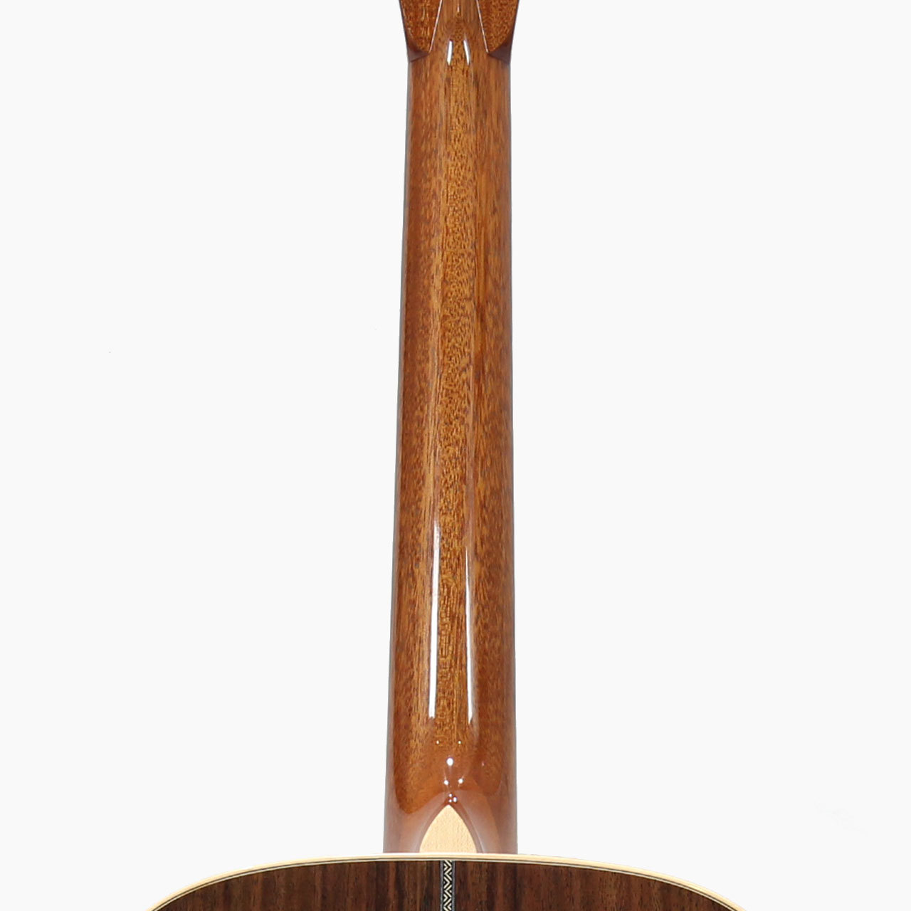 ASTURIAS(アストリアス) TRAD OM Reverence（新品/送料無料