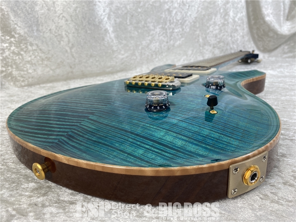Paul Reed Smith(PRS) Japan Exclusive Model Wood Library Custom 24