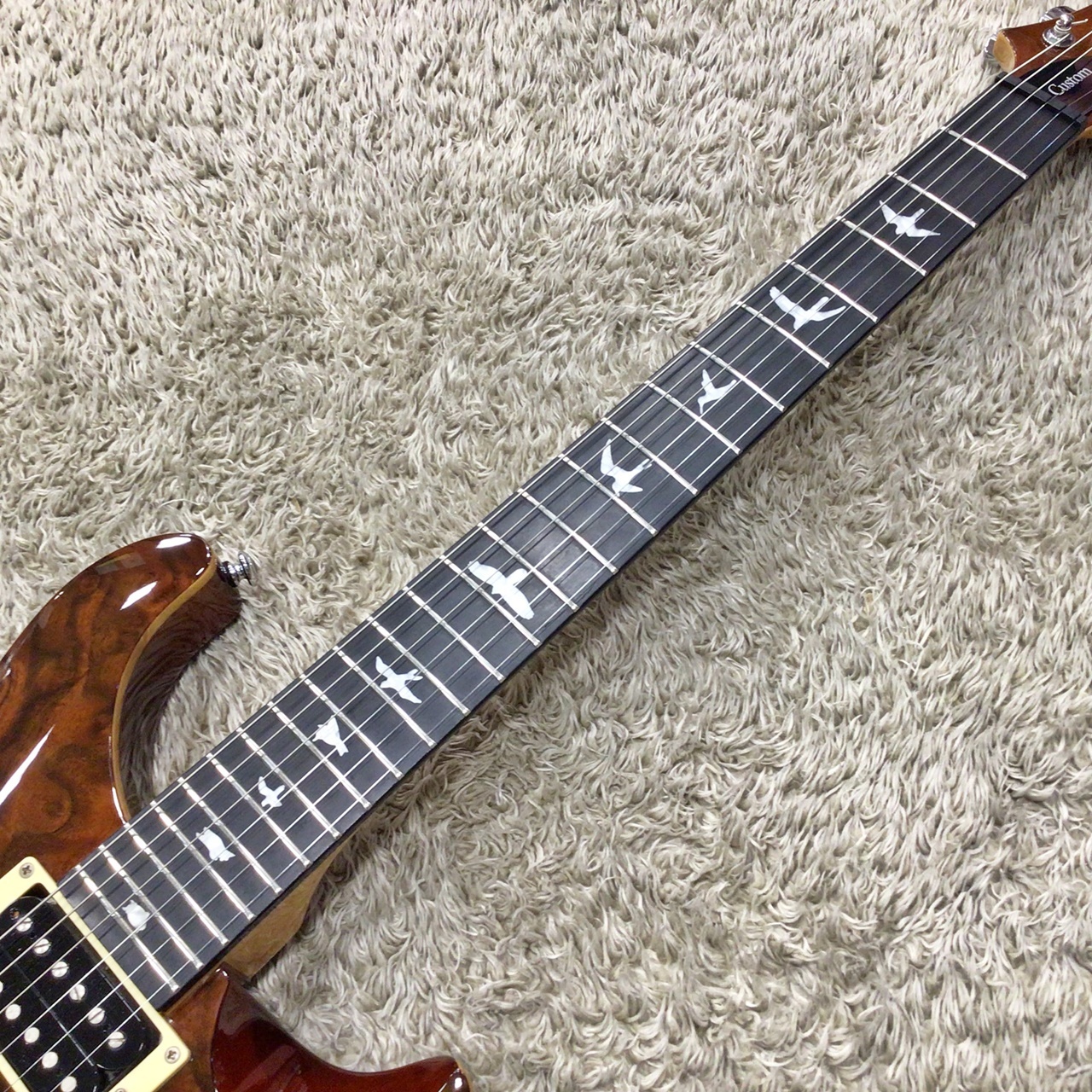 Paul Reed Smith(PRS) SE Custom24 Bird Inlay Walnut Burl Top
