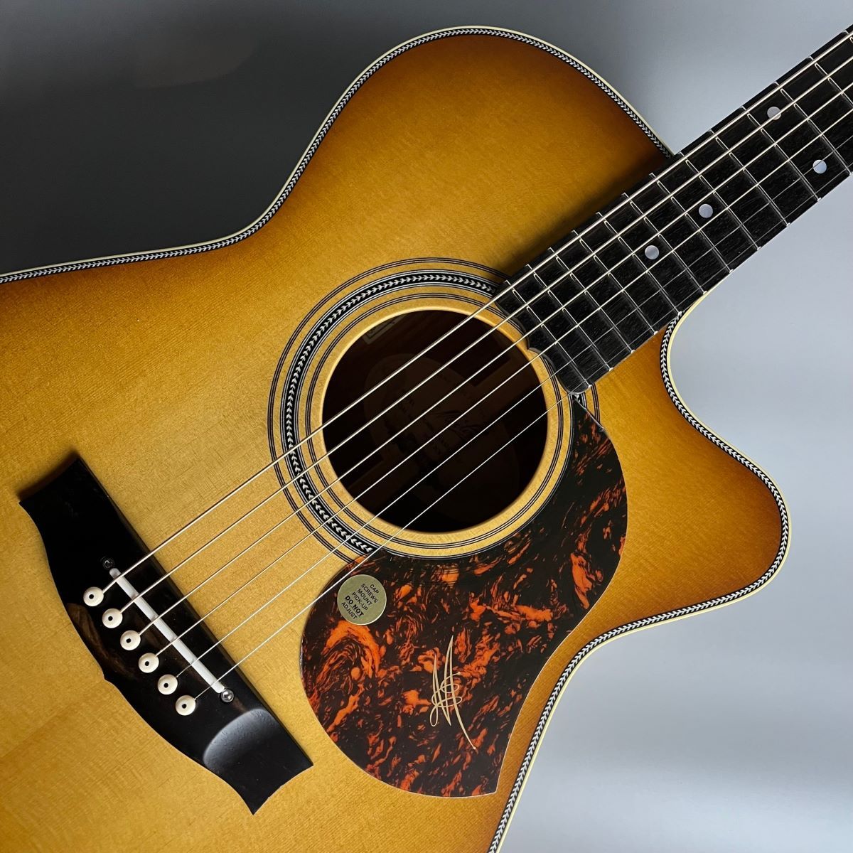 MATON EBG808C-NASHVILLE メイトン EBG-808C ナッシュビル（新品/送料 