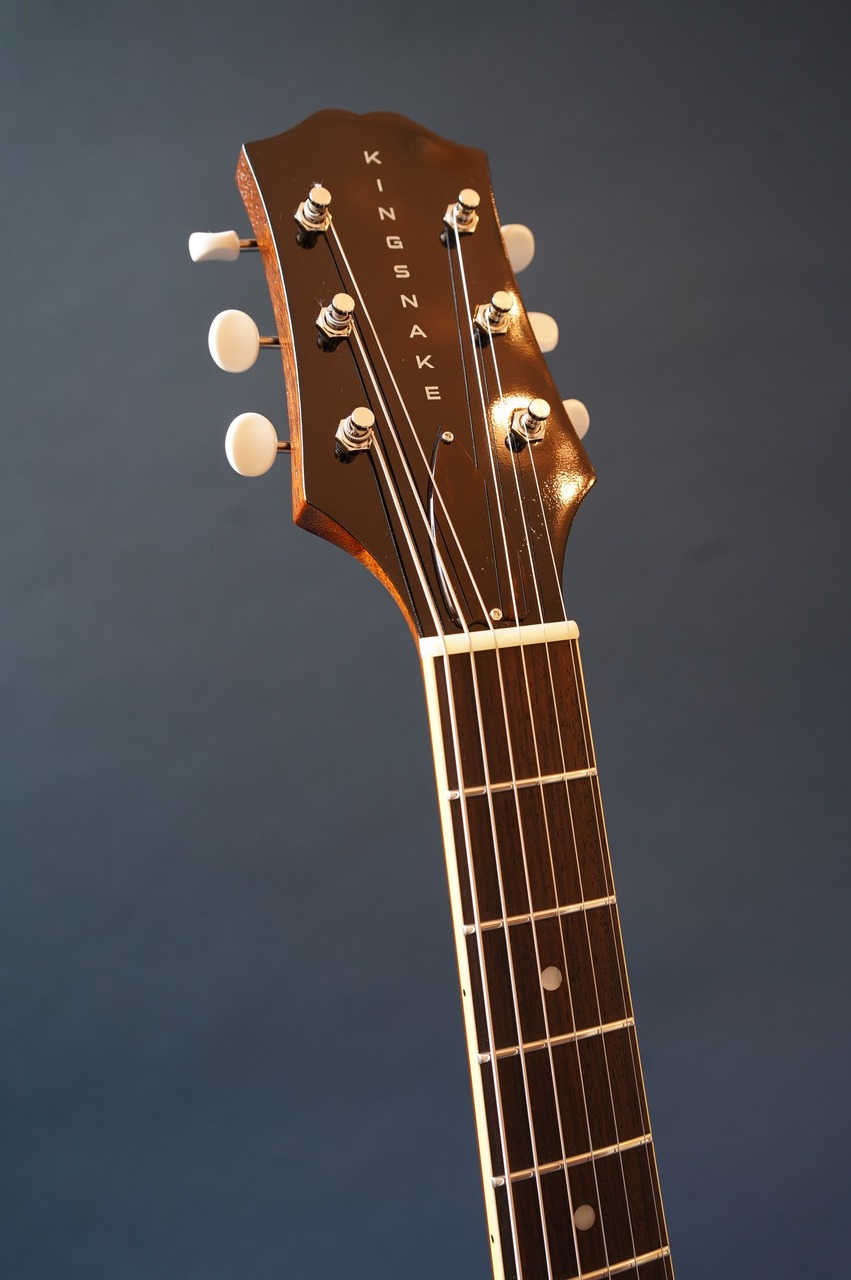 KING SNAKE Muddy non-cutaway（新品/送料無料）【楽器検索デジマート】