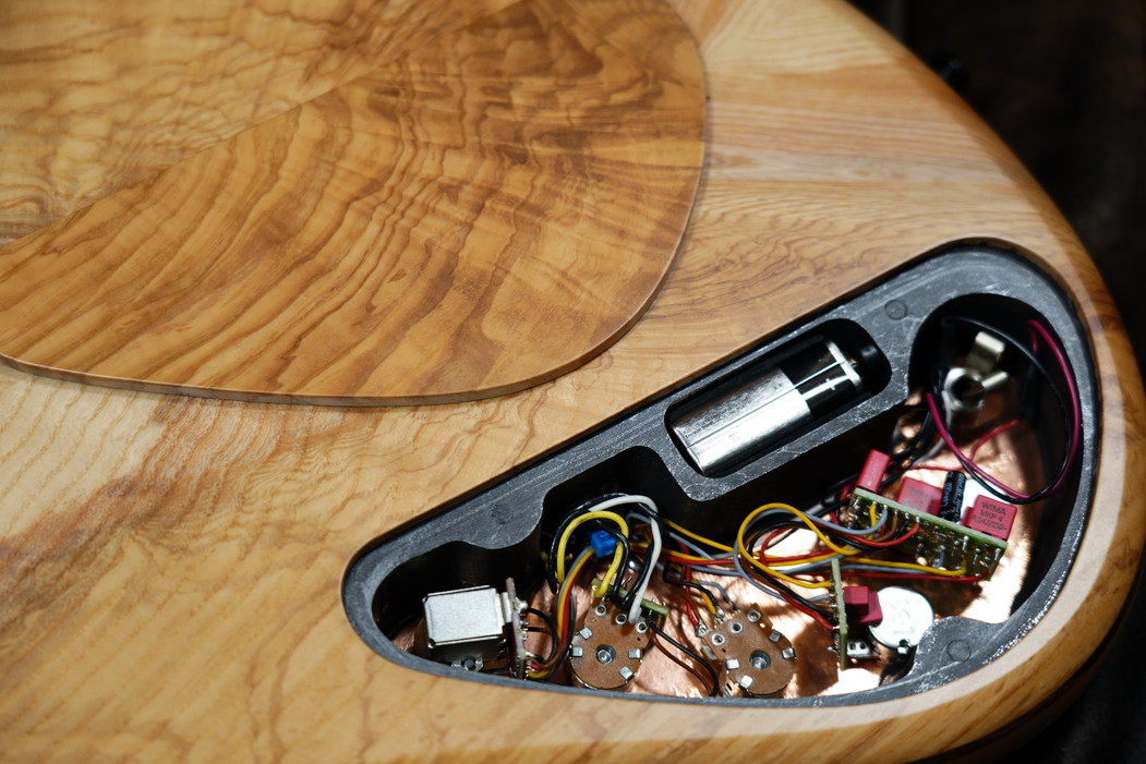 Aquilina Basses Shelby 5 Acoustic Chamber Olive Ash（新品