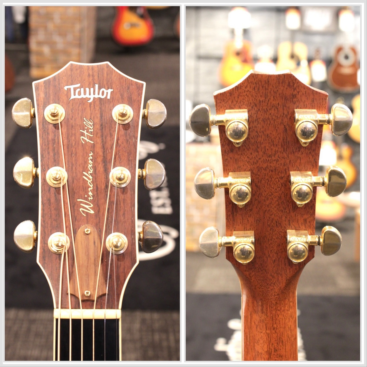 Taylor 【USED】WindHill Commemorative Model 2003年製【世界25