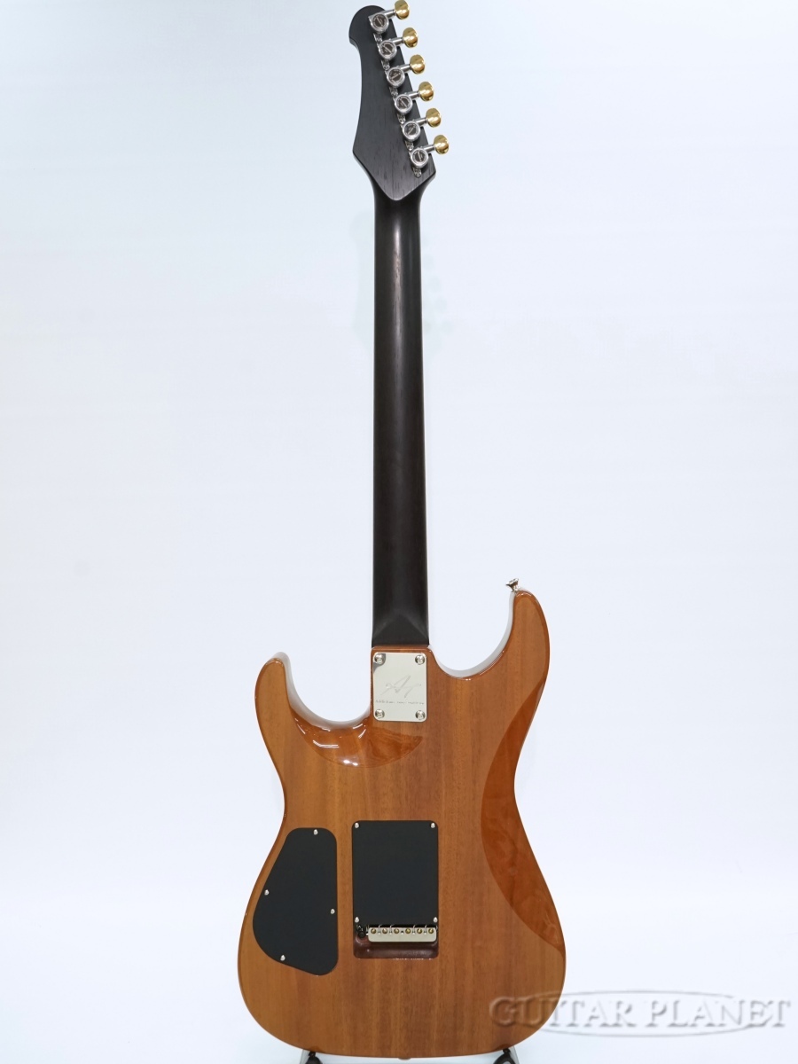 Addictone テレキャスタータイプ Addictone Custom GuitarsTL Thinline Custom -Black Aged