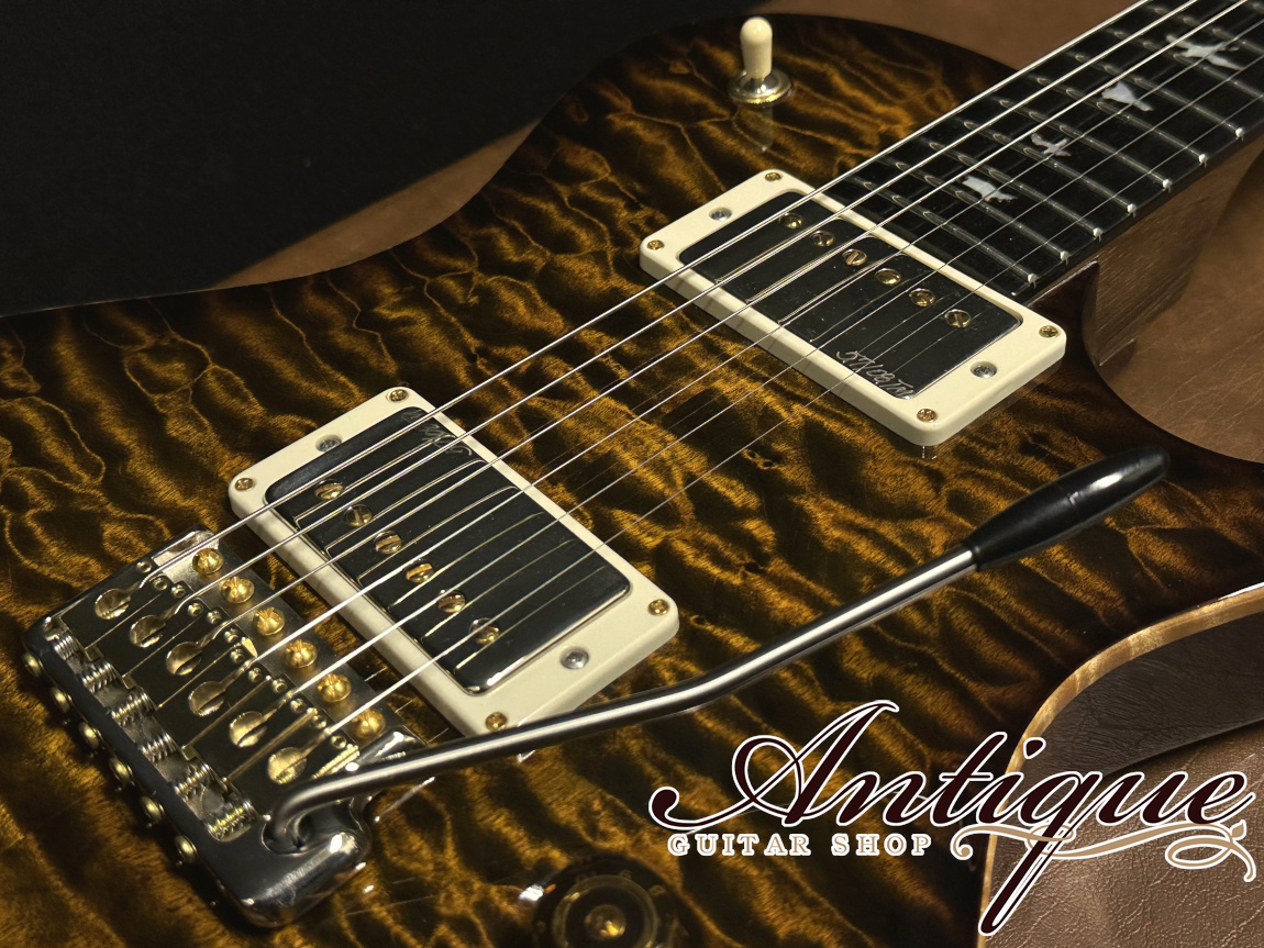 Paul Reed Smith(PRS) Private Stock Brazilian #6049 Singlecut