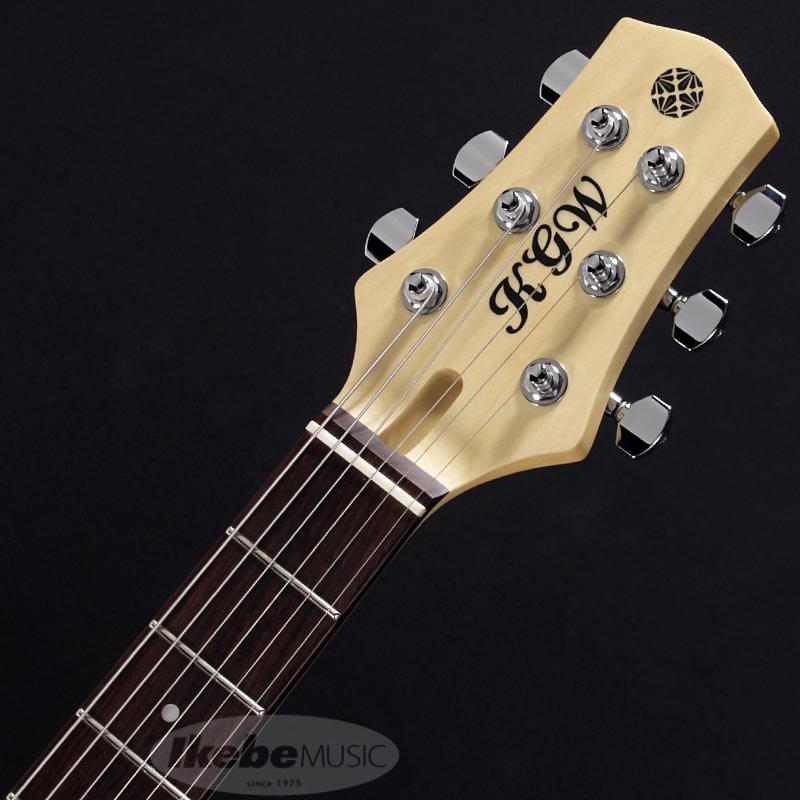 ギター Kz guitar works KGW bolt-on 22 2H6 Kz Guitar Works KGW Bolt-On 22 2H6 