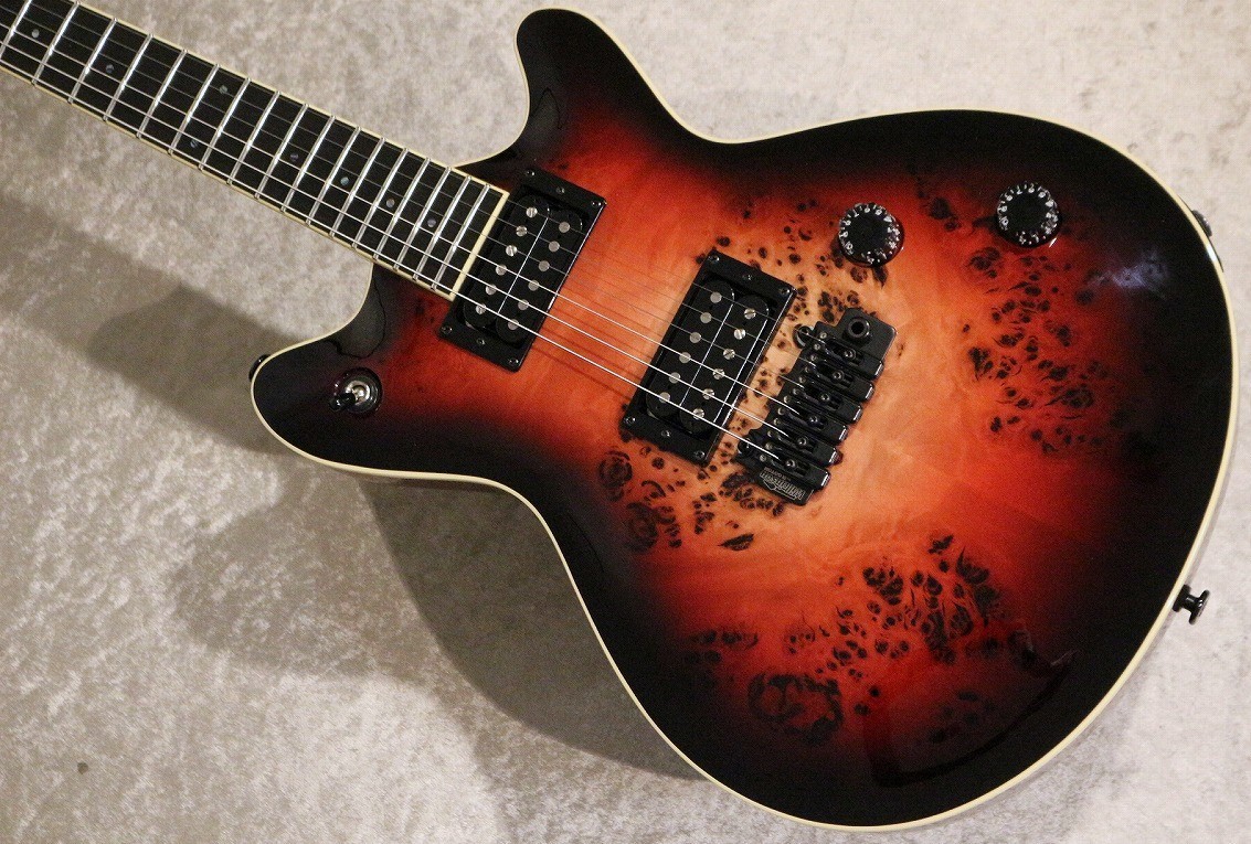 ギター T's Guitars Vena24 Nether Red T's Guitars Vena24 Nether Red - メルカリ