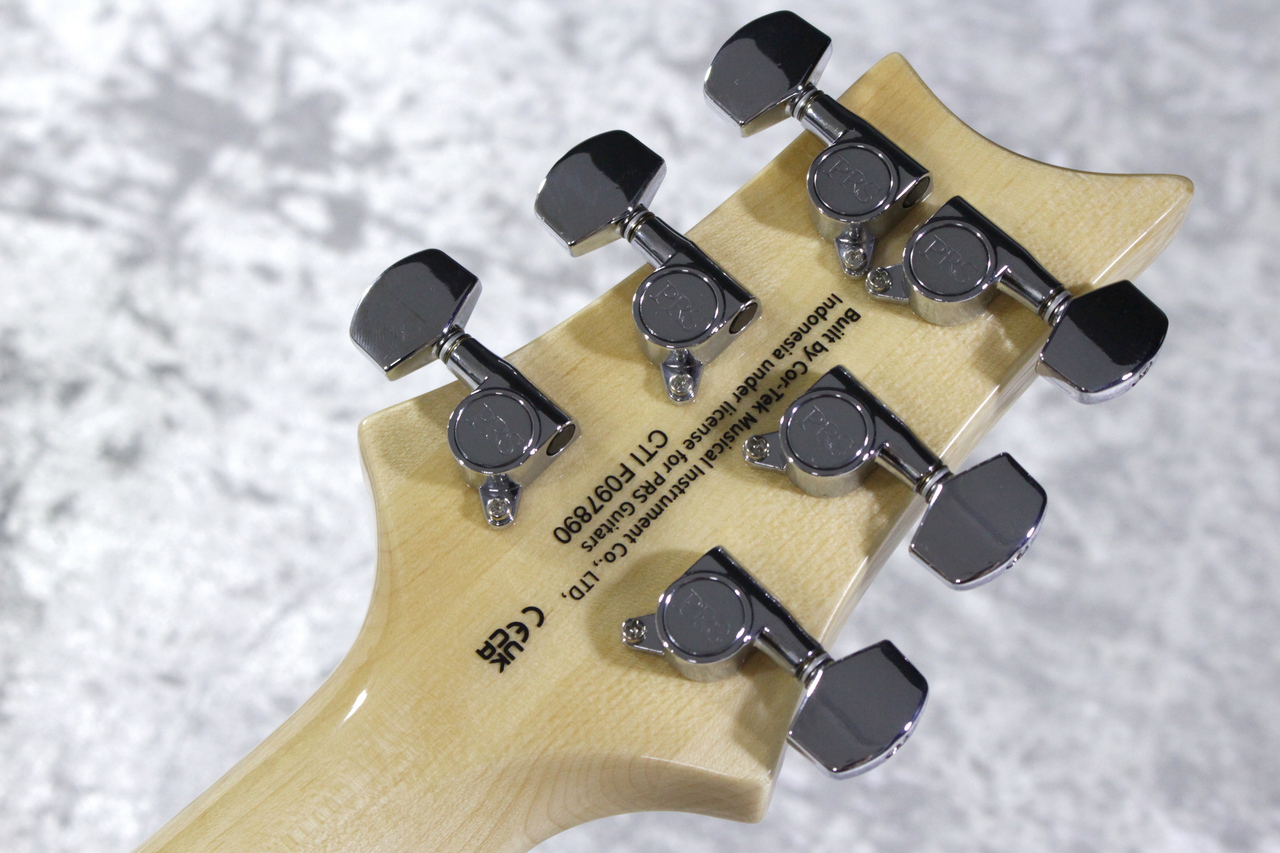 Paul Reed Smith(PRS) 【軽量!3.39kg】SE Custom 24 -Turquoise- #CTI