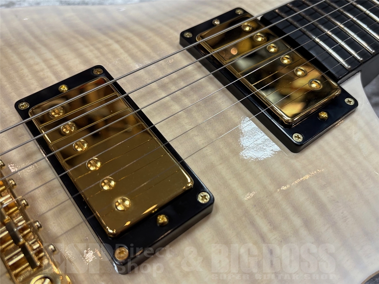 EDWARDS E-MYSTIQUE【See Thru White Sunburst】（新品/送料無料