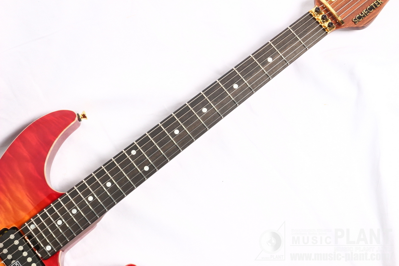 SCHECTER EX-5B-24-CTM-FTR-PFN/CHSB/E（新品特価/送料無料）【楽器