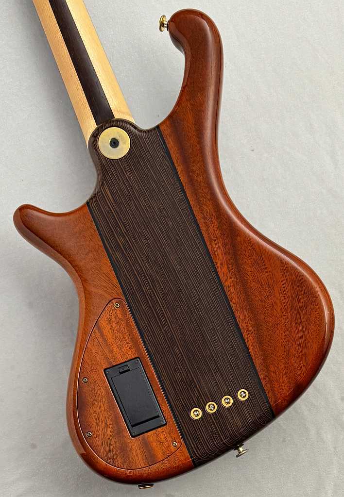 FREEDOM CUSTOM GUITAR RESEARCH Dulake 4st -鴉-【USED】（中古