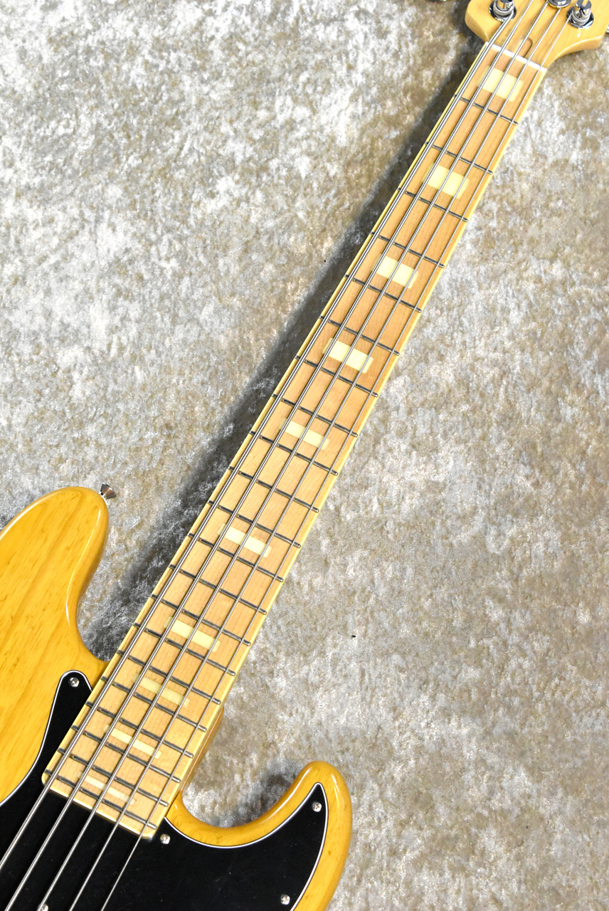 通販 Fujigen Fgn Njb10mbahv Vnt I 4 61kg 5弦モデル 横浜店 ベース