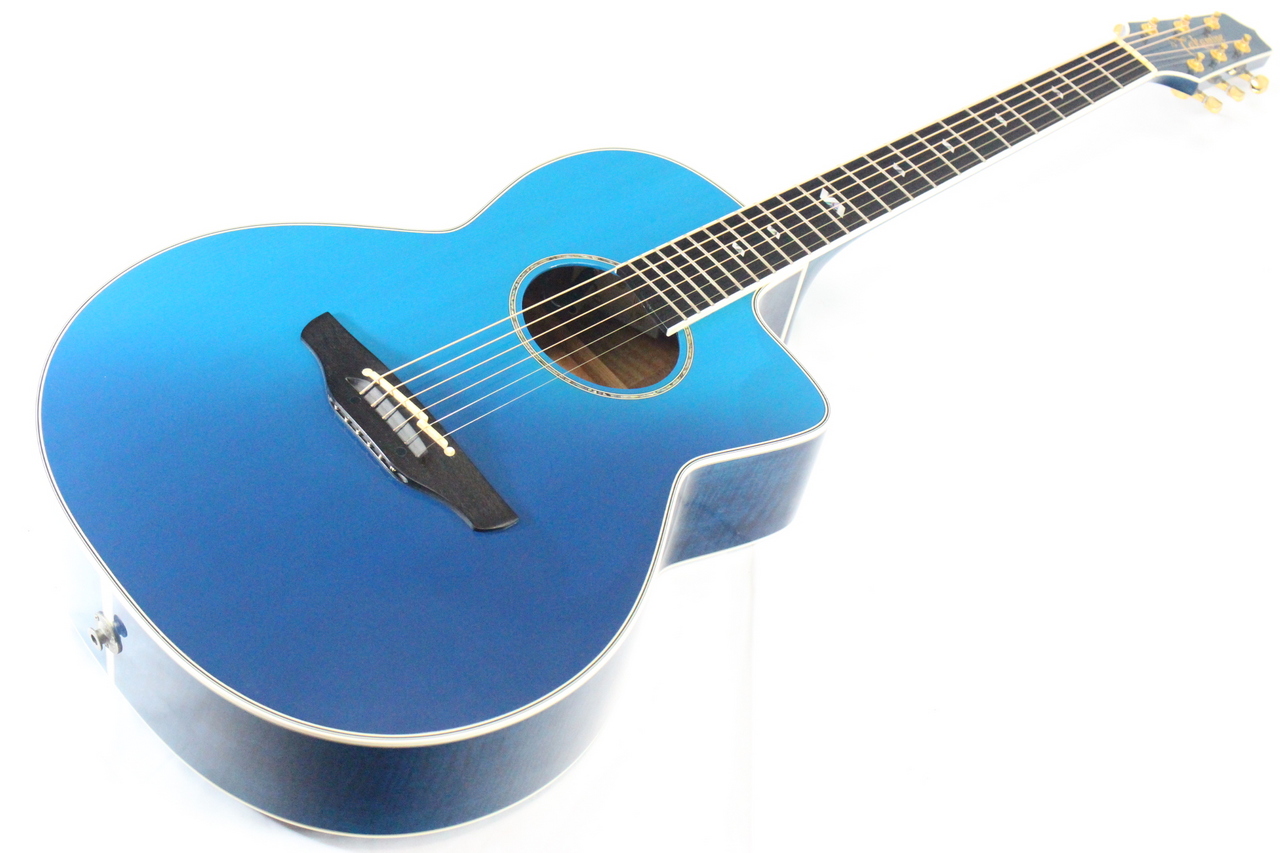 Takamine製エレアコDSP520 - アコースティックギター