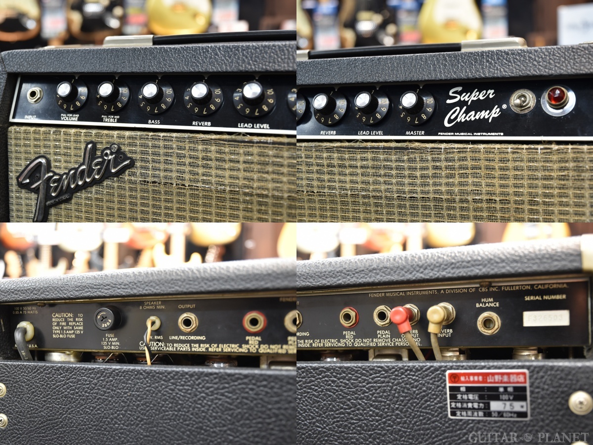 Fender 1983 Super Champ 