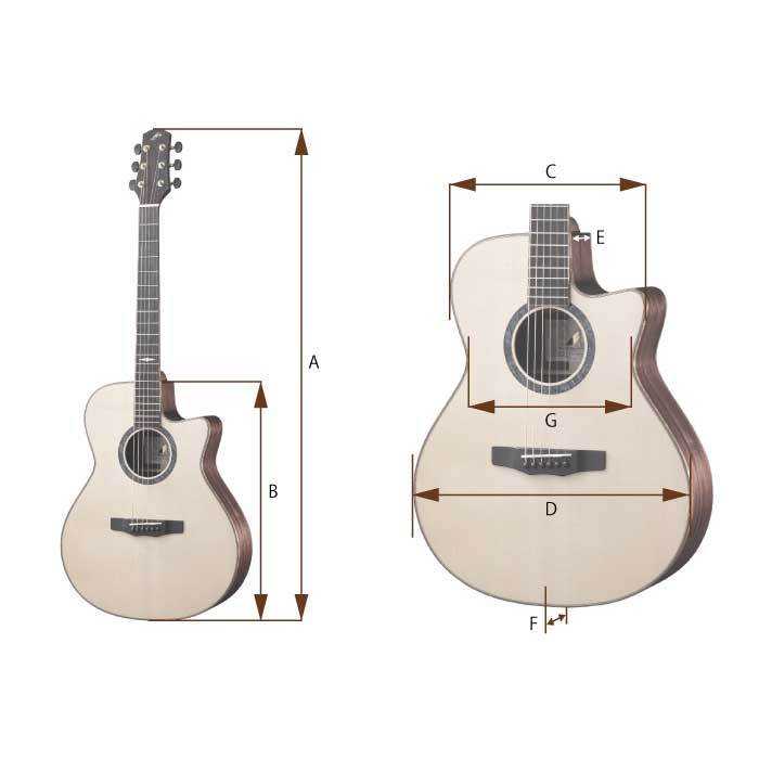 Morris M-1 BS (ブラウンサンバースト) アコースティックギター ケース