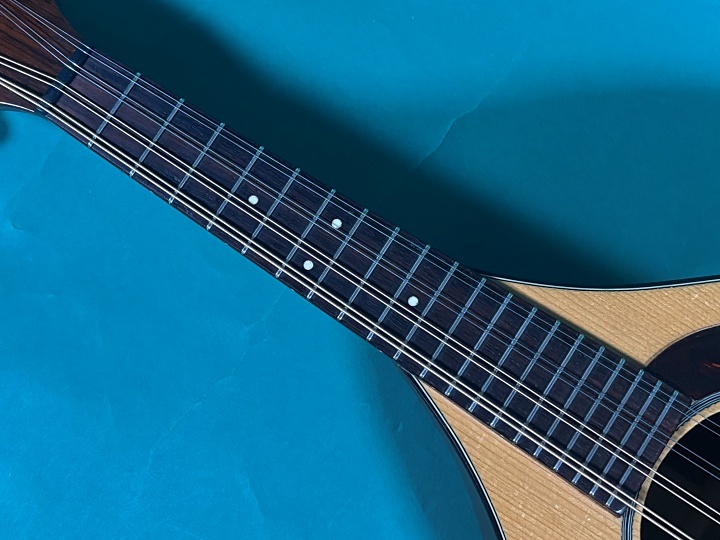 Martin STYLE-A（ビンテージ）【楽器検索デジマート】