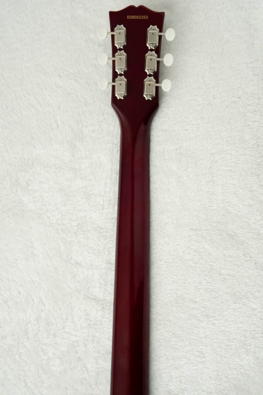 EDWARDS E-SG-JR-LTD -Vintage Cherry- #ED8002253 【数量限定生産