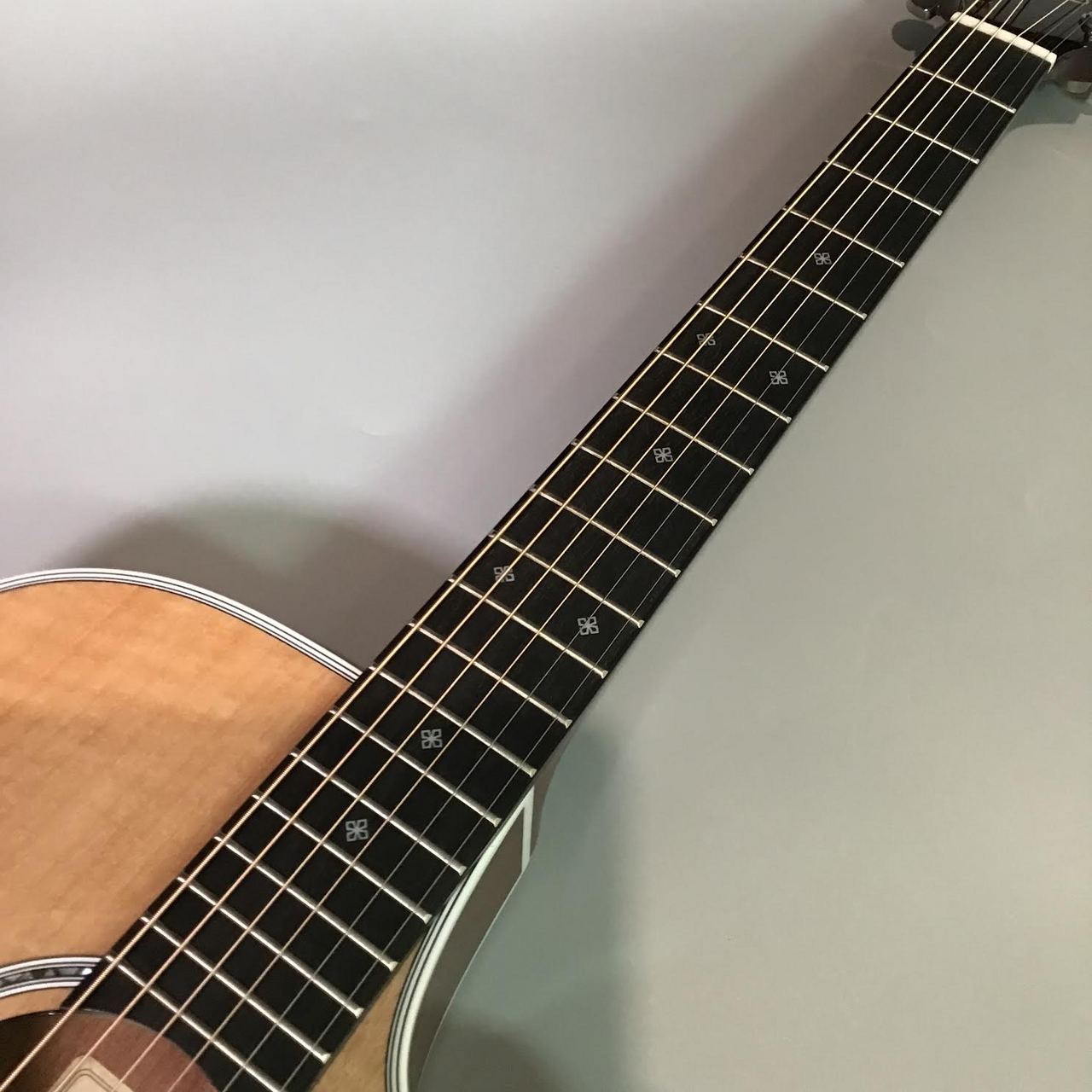 Takamine 【ショップオーダー品】TSP10CS-IZ【ギタラバ仙台2025
