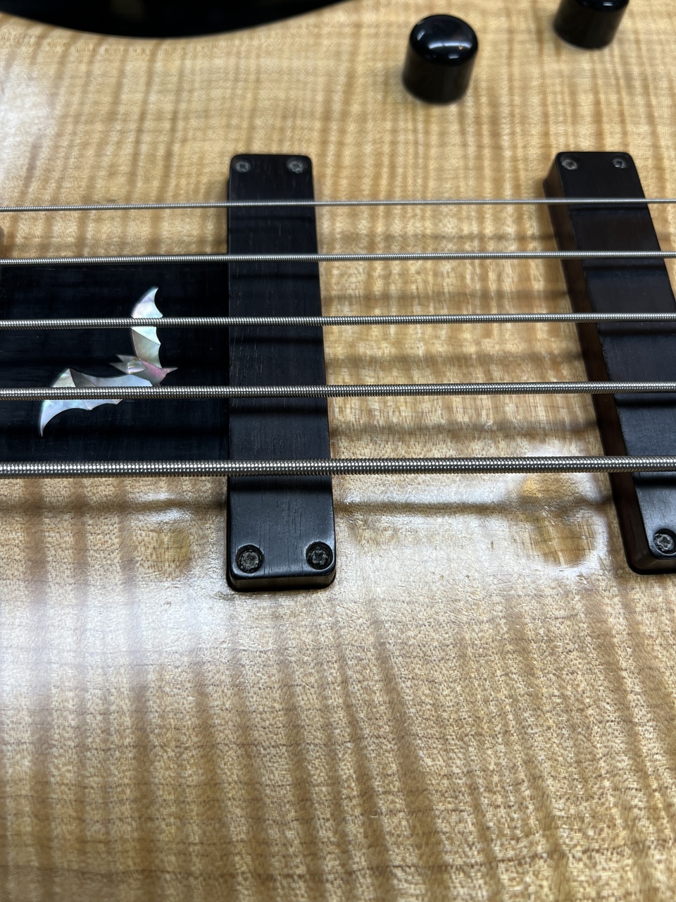 Sugi NB5C FM/ASH set-neck（中古）【楽器検索デジマート】
