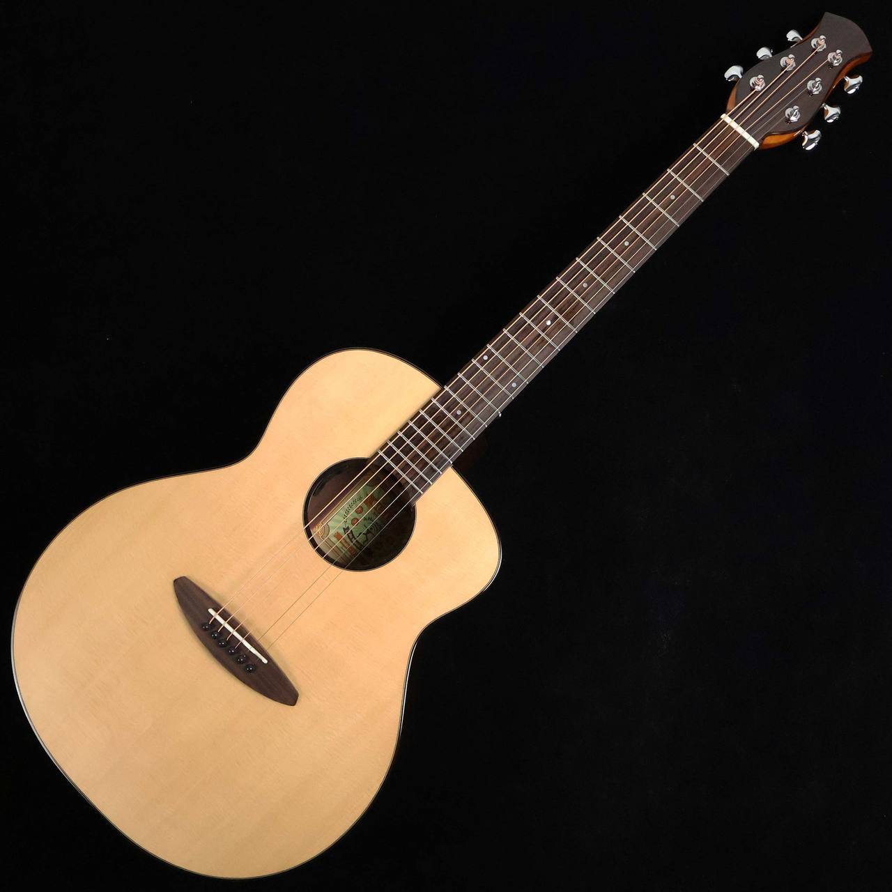 aNueNue L10E (エレアコモデル) aNueNue L10E (エレアコモデル)