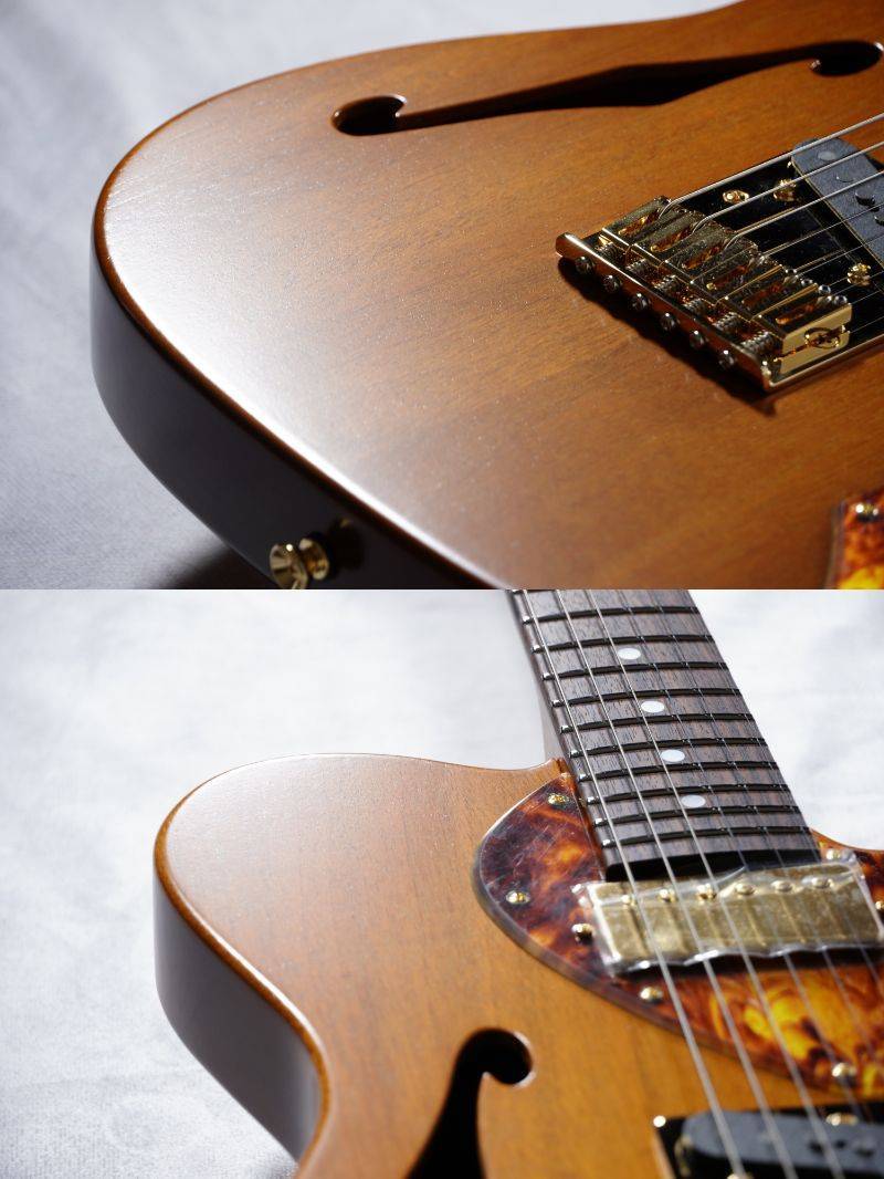 FREEDOM CUSTOM GUITAR RESEARCH C.S.TE Pepper Hollow2 /Vintage