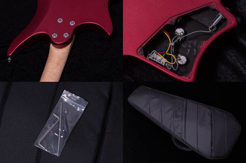 HEX Guitars NS100R S/RR（新品/送料無料）【楽器検索デジマート】