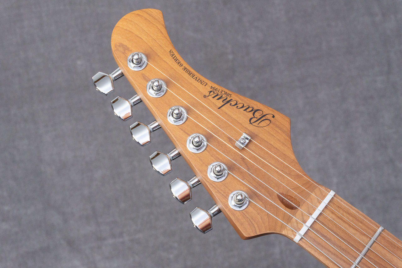 Bacchus BTE-1DX RSM/M IPM【GIB兵庫】（新品/送料無料）【楽器検索