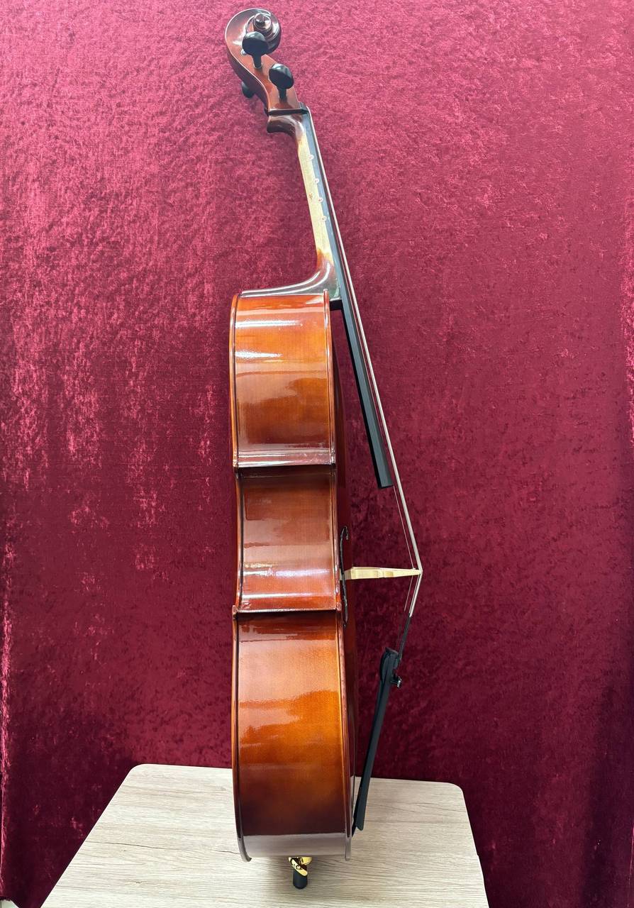 Carlo Giordano SC-100 1/2（中古/送料無料）【楽器検索デジマート】