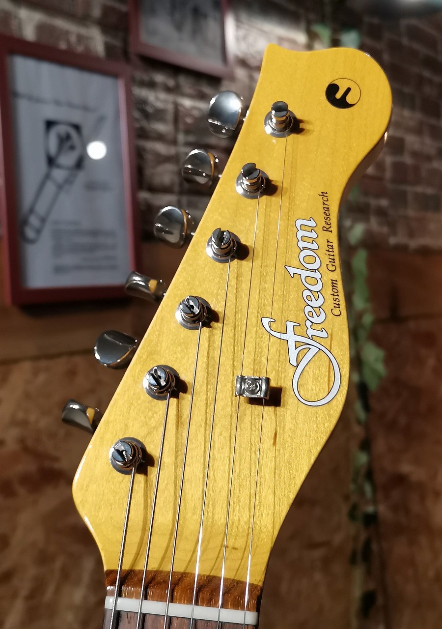 Freedom Custom Guitar Research TEセット