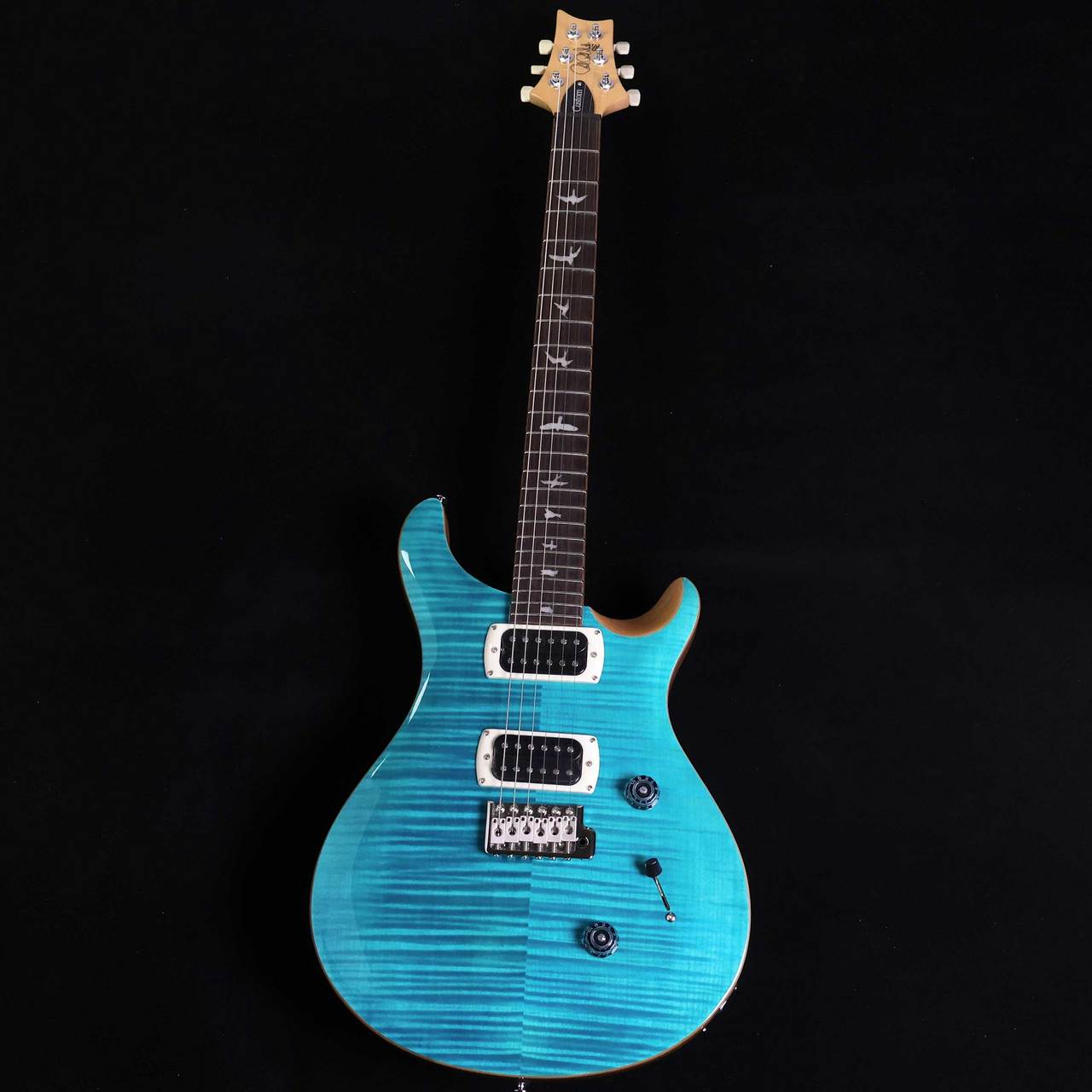 Paul Reed Smith(PRS) SE Custom24 Blue Matteo Natural Back SE 