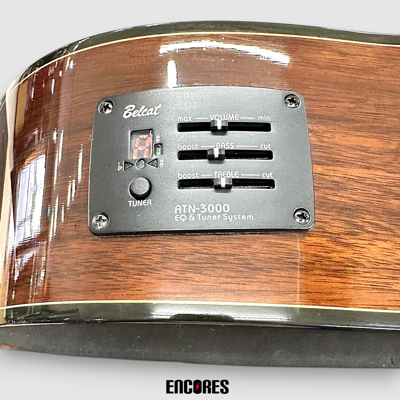 Martinez MCG-50S CE エレガット（中古）【楽器検索デジマート】