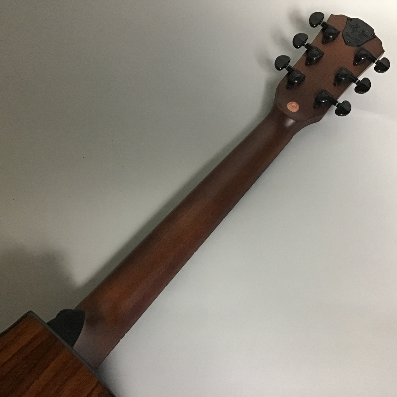 Gopherwood Guitars i320RCE-JP/Origin（新品/送料無料）【楽器検索