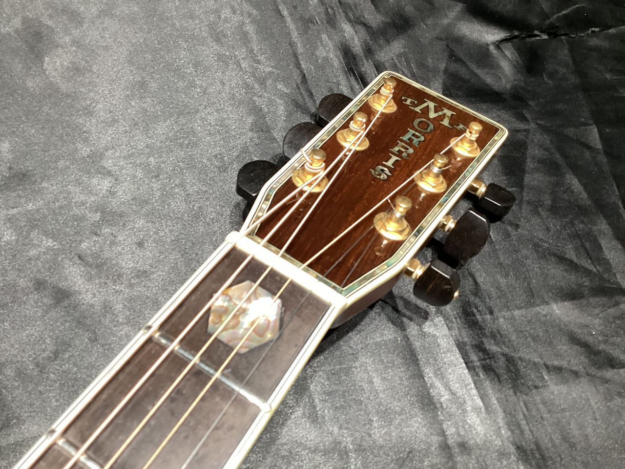 Morris TF-5000 ハカランダサイドバック（中古）【楽器検索