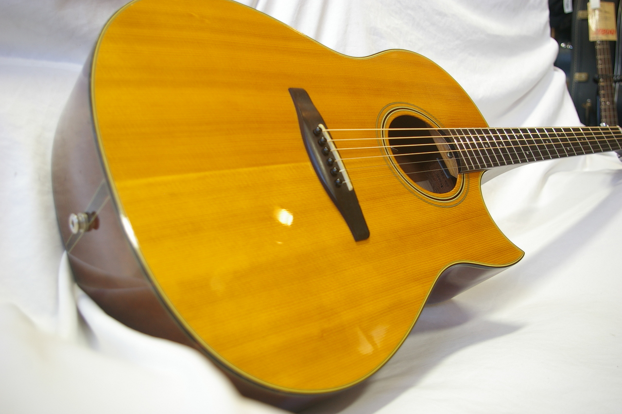 Stafford SAD-880（中古）【楽器検索デジマート】