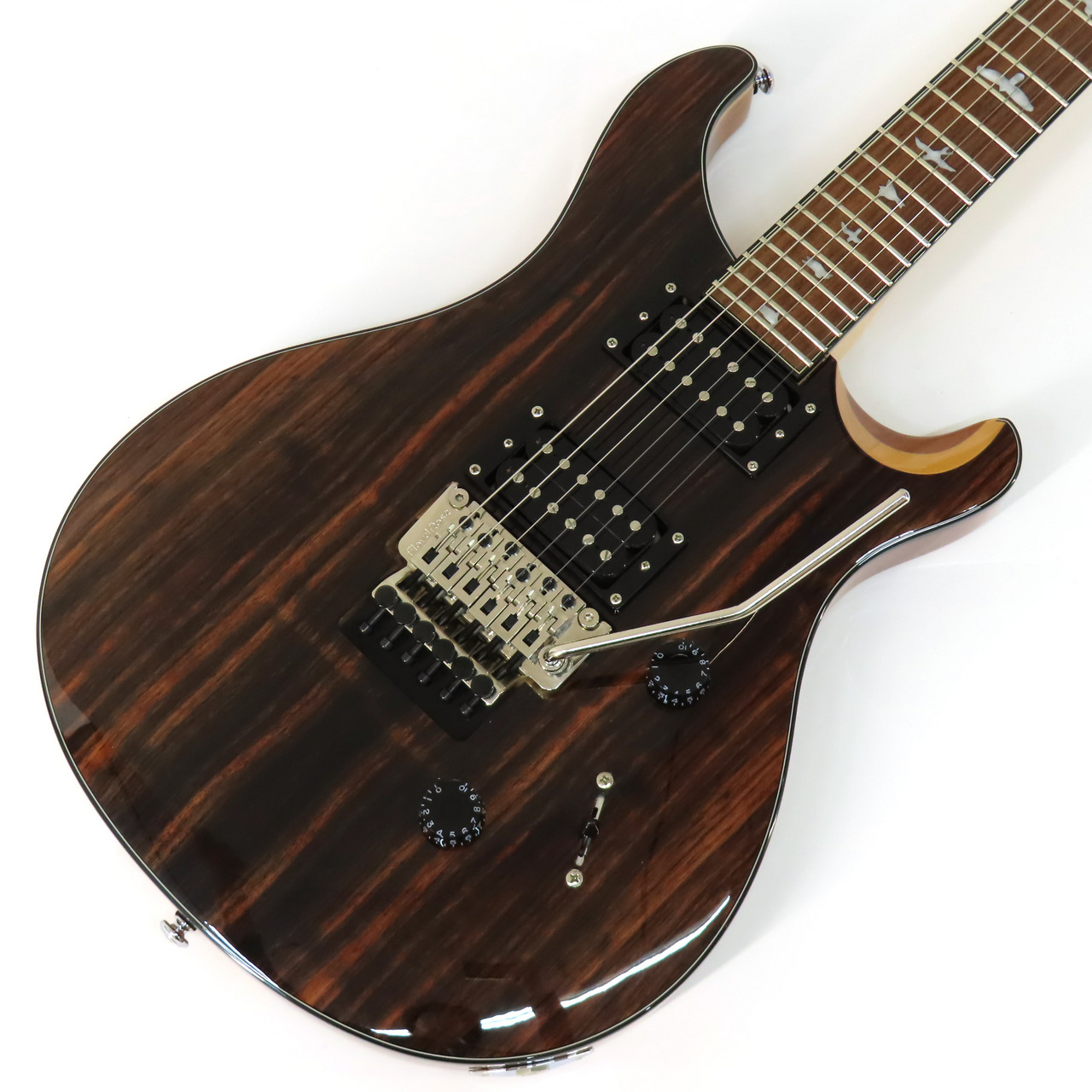Paul Reed Smith(PRS) SE Exotic Ebony Custom 24 Floyd（中古