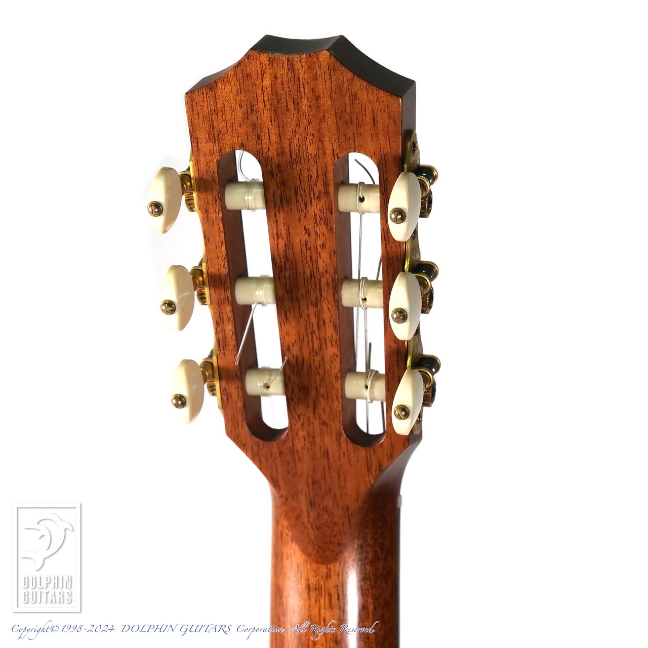 Taylor NS34ce（中古）【楽器検索デジマート】