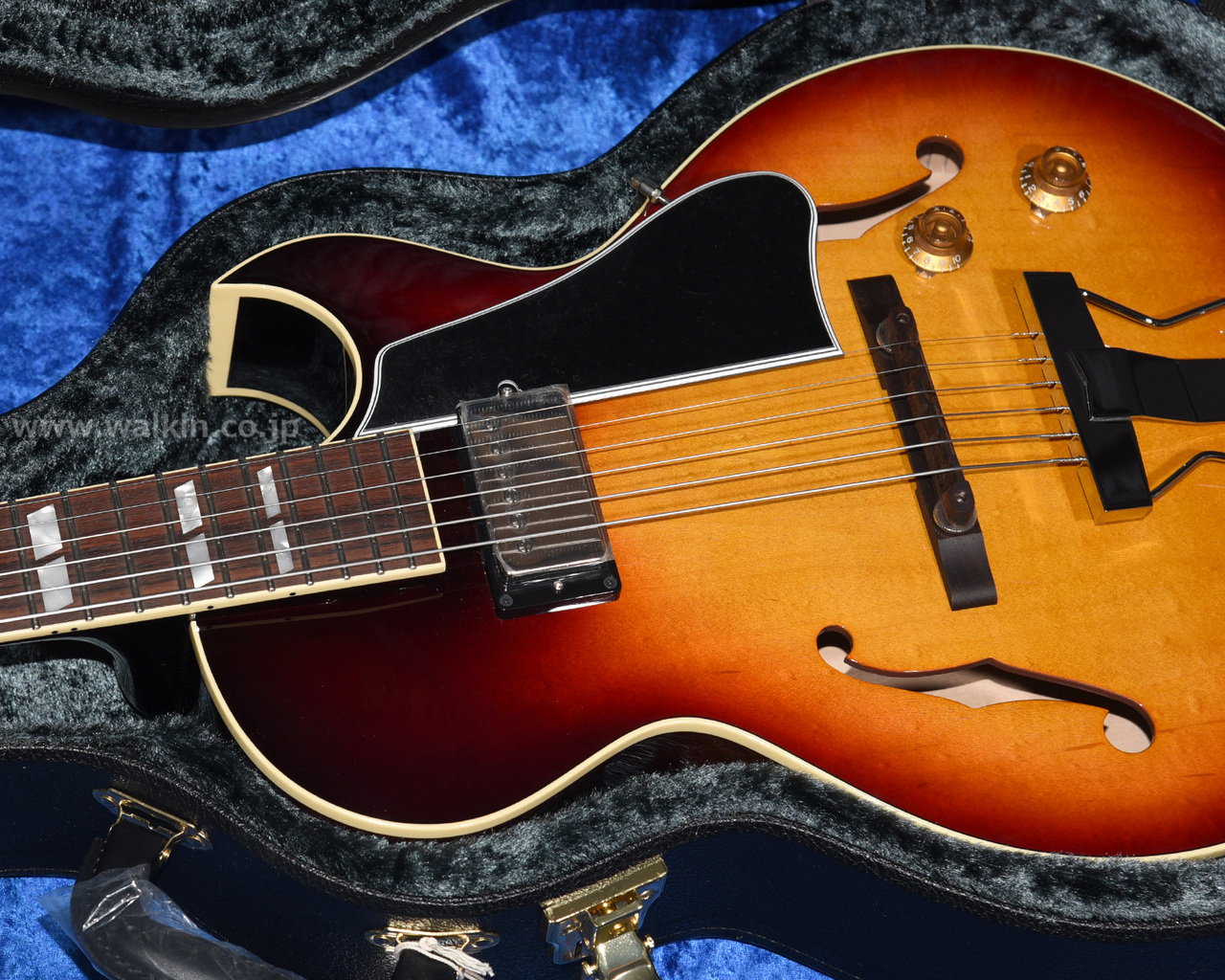 Archtop Tribute AT105 Jr. （新品）【楽器検索デジマート】