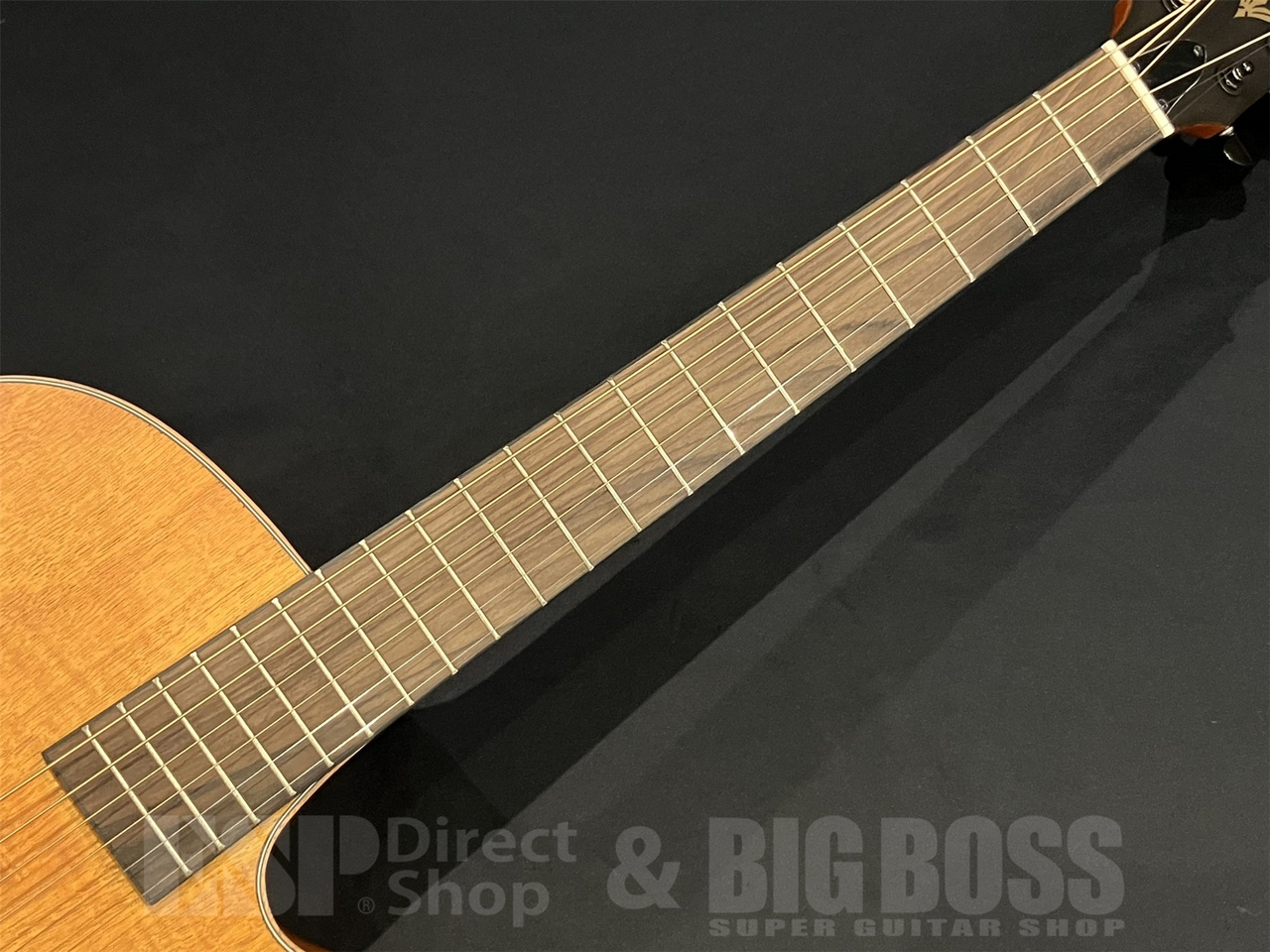 美品 ARIA FET-F2 STBR Stained Brown【整備品】 美品 ARIA FET-F2 STBR Stained Brown【整備品】 - メルカリ