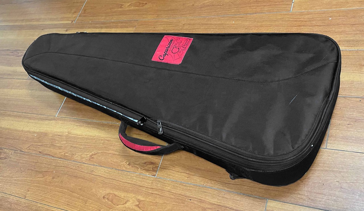 Reunion Blues AERO-E1 エレキギター用セミハードケース