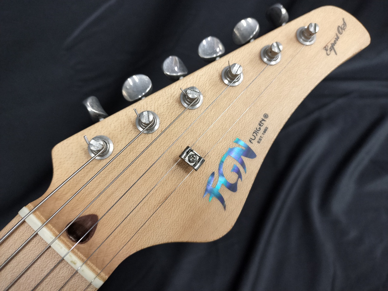 FUJIGEN(FGN) EOS ASH-M/SBB(フジゲン Expert ODYSSEY 国産)（中古