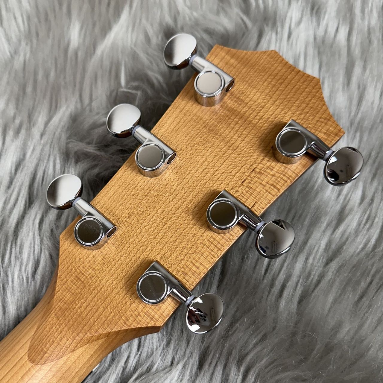 Taylor 【現物写真】24ce エレアコギター 2.03kg（新品/送料無料