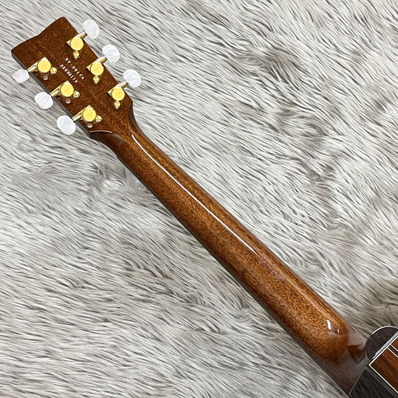 HISTORY NT-301/CA NAT エレアコギターNT301CA ナチュラル